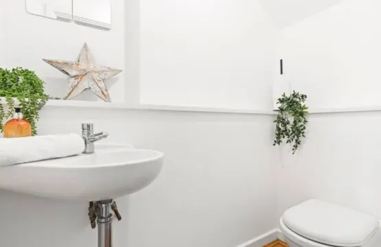 6895e18adf4cd666807200.jpeg.jpg